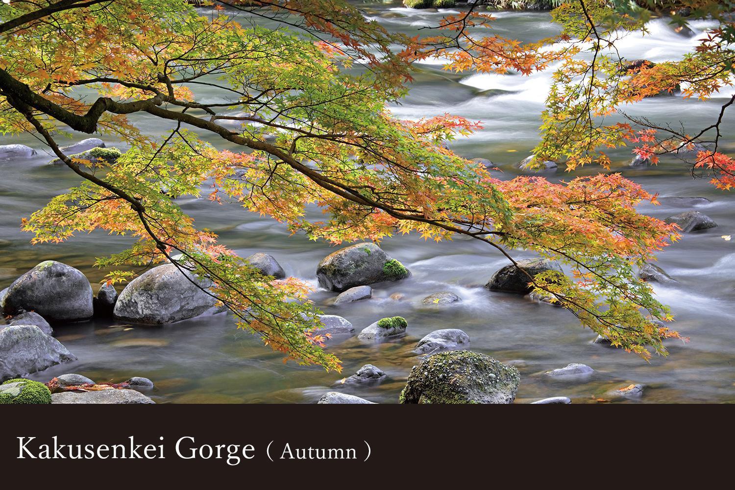 Yamanaka Onsen Kissho Yamanaka Hotel Kaga  Buitenkant foto